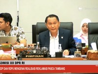 DPR Tiba-Tiba Panggil 3 Perusahaan Tambang, Ada Apa?