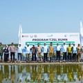 Top! Pelindo Terminal Petikemas Tanam 50.000 Bibit Mangrove