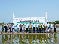 Top! Pelindo Terminal Petikemas Tanam 50.000 Bibit Mangrove