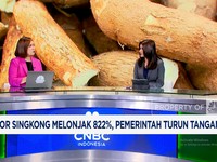 Video: Impor Singkong Naik 822%-Purbaya Paksa Tunggakan Pajak Dilunasi