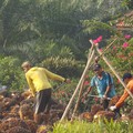 4+8 Tuntutan Petani Sawit, Teriak Minta Hargai Petani-Hapus BK & PE