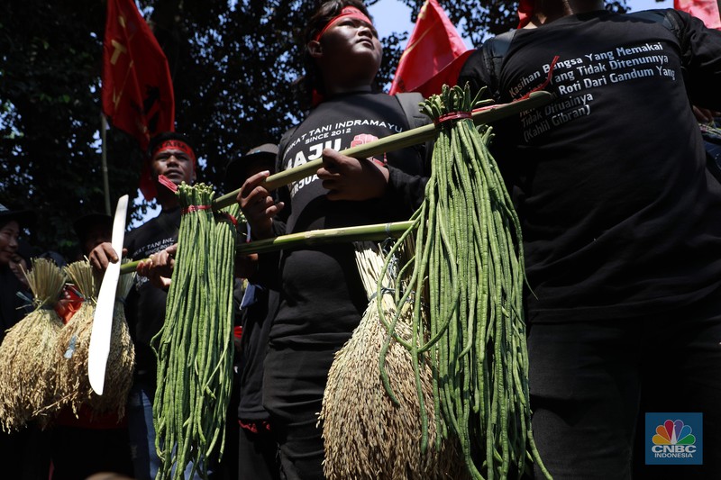 Ratusan petani Indramayu yang tergabung dalam Serikat Tani Indramayu menggelar aksi di depan Kementerian Pertanian, Jakarta, Rabu (24/9/2025). Ratusan petani Indramayu yang tergabung dalam Serikat Tani Indramayu menggelar aksi di depan Kementerian Pertanian, Jakarta, Rabu (24/9/2025). (CNBC Indonesia/Muhammad Sabki)