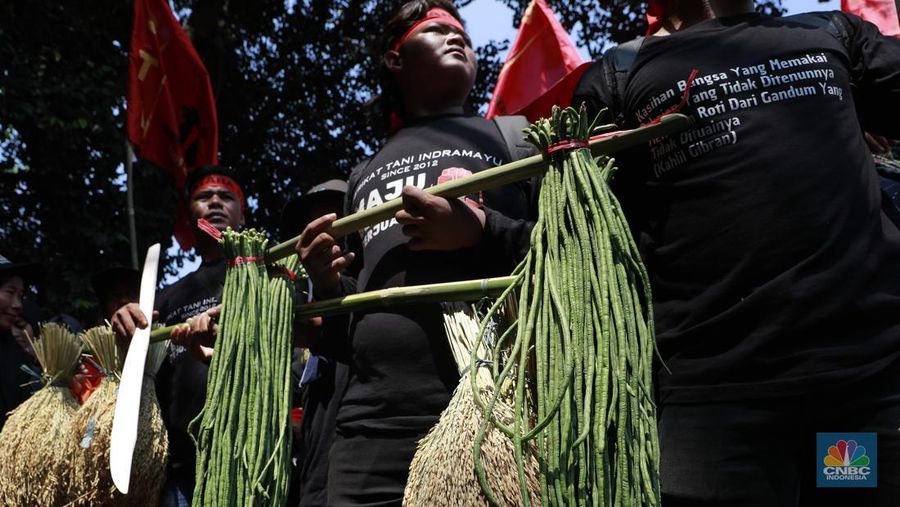 Ratusan petani Indramayu yang tergabung dalam Serikat Tani Indramayu menggelar aksi di depan Kementerian Pertanian, Jakarta, Rabu (24/9/2025). (CNBC Indonesia/Muhammad Sabki)