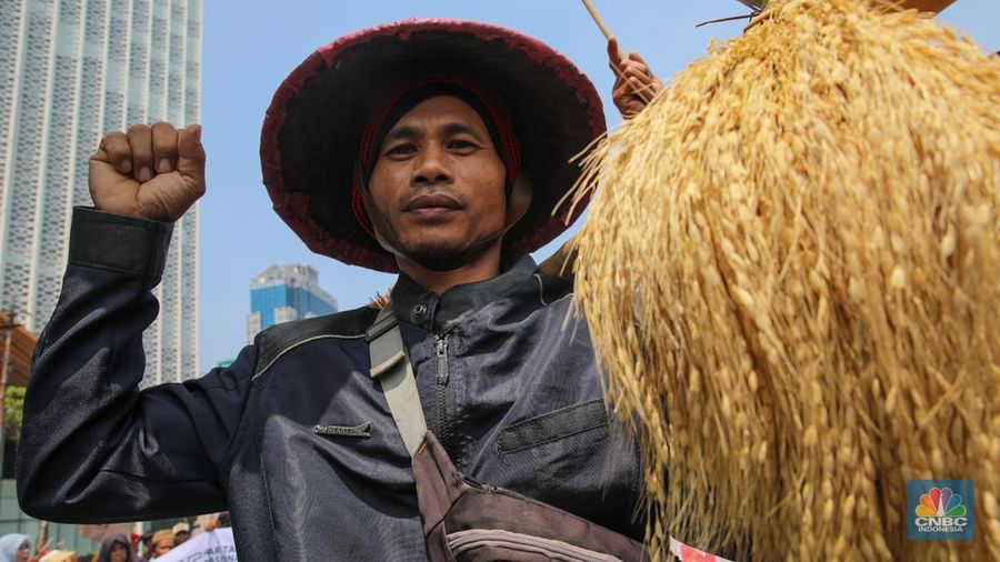 Ratusan petani Indramayu yang tergabung dalam Serikat Tani Indramayu menggelar aksi di depan Kementerian Pertanian, Jakarta, Rabu (24/9/2025). (CNBC Indonesia/Muhammad Sabki)