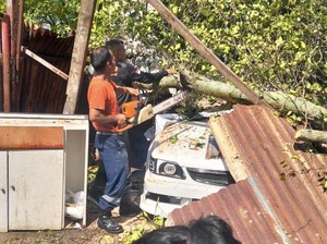 Pohon Tumbang Timpa Bengkel-Rusak 1 Mobil di Padang