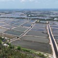 Gara-gara Hal Ini, Industri Udang RI Terancam