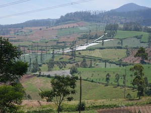 Mengenal Agroforestri, Cara Mencegah Erosi dan Banjir di Pangalengan
