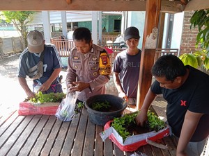 Brigpol Kamaludin Bantu Ekonomi Warga Lewat Program Bina Peternak-Petani