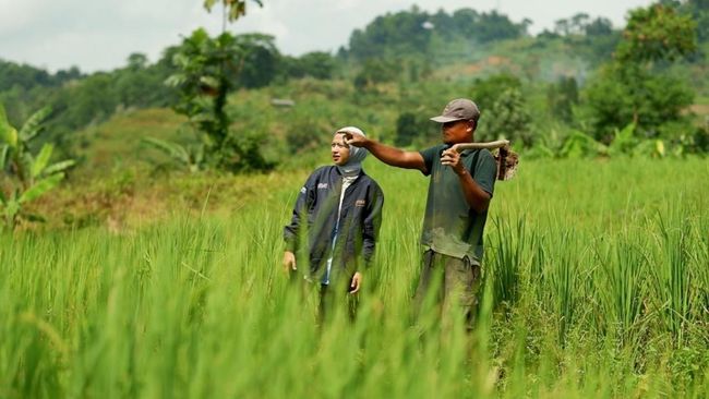 BRI Perkuat Dukungan untuk Sektor Pertanian Lewat Akses Pembiayaan