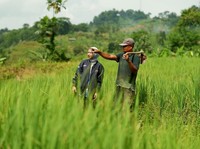 BRI Perkuat Dukungan untuk Sektor Pertanian Lewat Akses Pembiayaan