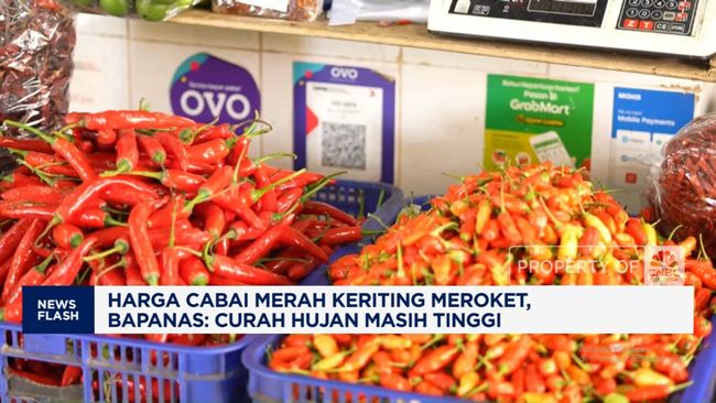 Video: Harga Cabai Merah Keriting Meroket, Bapanas: Curah Hujan Tinggi
