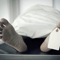 Ngeri! Ibu di Jepang Simpan Mayat Putrinya di Freezer Selama 20 Tahun