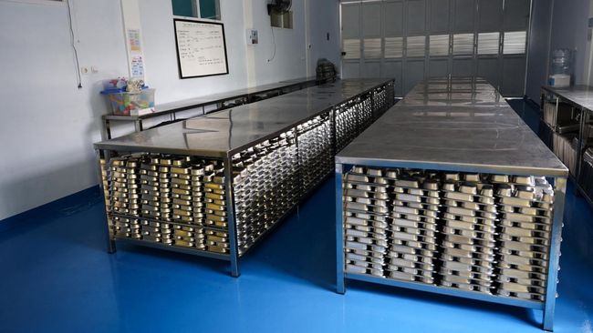 Pemerintah Minta Puskesmas dan UKS Pelototi SPPG Produksi MBG