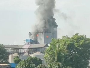 Pabrik Tepung di Beji Pasuruan Terbakar