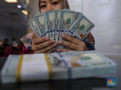 Anak Buah Purbaya Buka Suara Utang RI Kebal dari Tekanan Dolar