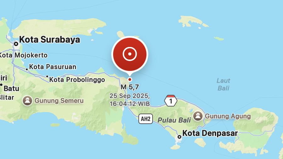 Pusat gempa berada di laut 46 km timur laut Banyuwangi. (BMKG)