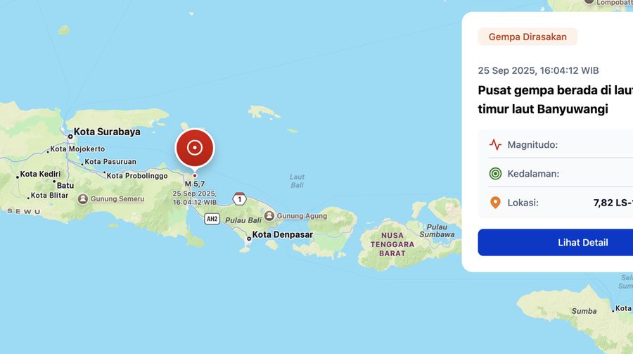 Pusat gempa berada di laut 46 km timur laut Banyuwangi. (BMKG)