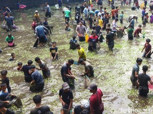 Penampakan Serunya Tradisi Buka Tetek di Embung Cueran Klaten