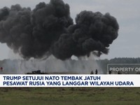 Video: Trump Setujui NATO Tembak Jatuh Pesawat Rusia