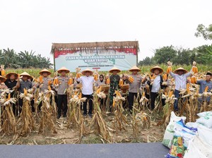 Dukung Ketahanan Pangan, Polda Banten Tanam Jagung di Lahan 1.772 Hektare