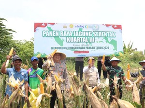 Polisi-Poktan Panen 2 Ton Jagung di Kota Mojokerto