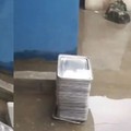 Nampan Makan MBG Diduga Tercemar Air Limbah, Begini Kondisinya