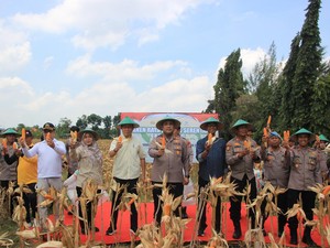 Polres Tuban Gelar Panen Jagung Kuartal III, Hasil Capai 236 Ton