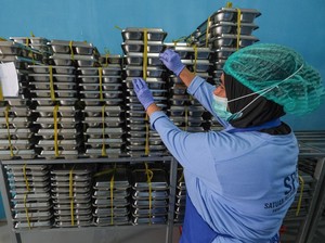 Dari 17 Dapur MBG di Solo, Baru 1 yang Kantongi Sertifikat Higienis