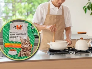 Hidup Hemat di Swiss, Mahasiswa PhD Ini Makan Makanan Kucing!