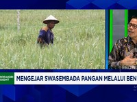 Video: Kalah Dari Vietnam, RI Genjot Produksi Beras Lewat Benih Unggul