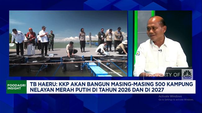 Video: Mau Jadi Raja Ekspor Lobster-Udang, KKP Dorong Modeling Tambak