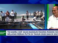 Video: Mau Jadi Raja Ekspor Lobster-Udang, KKP Dorong Modeling Tambak