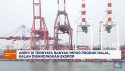 Video: RI Ternyata Banyak Impor Produk Halal