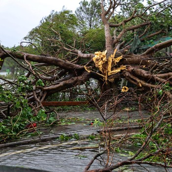Bak Tsunami, Gelombang 8 M Hantam Tetangga RI-Buat Kota Porak-poranda