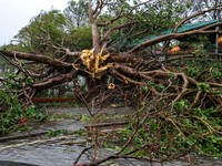 Update Topan Bualoi Gulung 2 Tetangga RI, Korban Jiwa Terus Bertambah