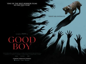Cara Sutradara Good Boy Menyulap Anjing Peliharaannya Jadi Bintang Film Horor