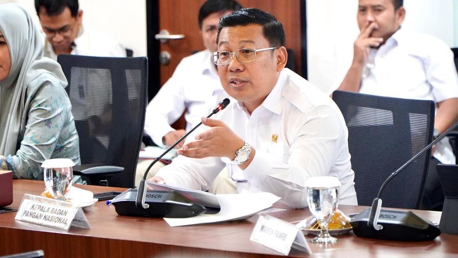 Kepala Bapanas, Arief Prasetyo Adi. (Dok. Bapanas)