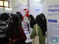 Fresh Graduate Incar Posisi Magang di Job Fest, Demi Gaji Rp3,3 Juta?