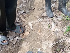 Hilang di Hutan Samarinda, Ritual Pencarian Agung Bakal Dilakukan