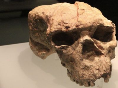 Penemuan China Ubah Sejarah Panjang Manusia di Bumi