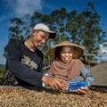 Konsisten Berdayakan UMKM, BRI Raih Penghargaan Ini
