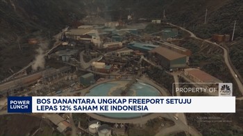 Video: Bos Danantara Sebut Freeport Mau Lepas 12% Saham ke Indonesia 