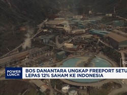 Video: Bos Danantara Sebut Freeport Mau Lepas 12% Saham ke Indonesia
