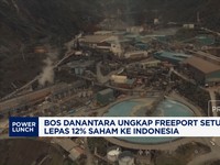 Video: Bos Danantara Sebut Freeport Mau Lepas 12% Saham ke Indonesia