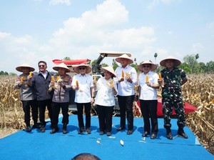 Dukung Swasembada Pangan, Bulog Janji Serap Hasil Tanam Jagung Polri