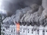 Breaking! Komplek IKN Sempat Dilanda Kebakaran