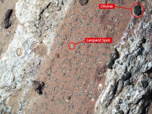 NASA Temukan Indikasi Baru soal Kehidupan di Mars