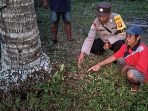 Baru Lahir, Bayi Laki-laki Ditinggalkan di Kebun Kelapa Kubu Raya