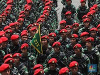 Dari Malvinas - Sage Green, Perjalanan Loreng TNI Jelang HUT ke-80