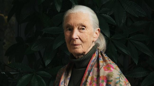 Jane Goodall Meninggal, Ini Warisan Abadi Sang Legenda Dunia Primata